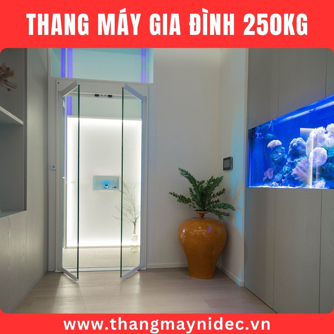 Thang máy 250 cửa mở bản lề tự động